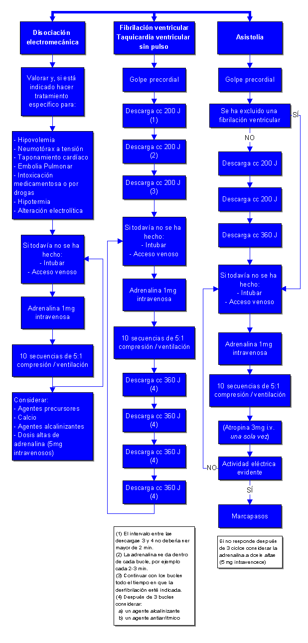 RCP avanzada